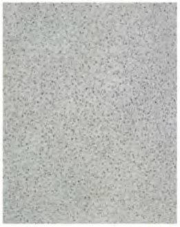 Lifto kabinos PVC grindų danga OST-PVC-2